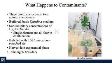 Fate of Mercury, Cadmium, Selenium, and Arsenic in a Simulated Industrial Aquaculture Setting